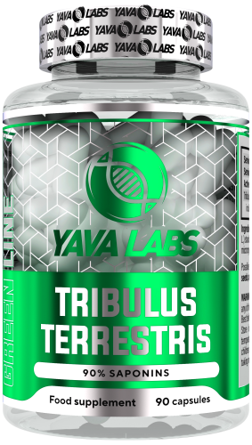 Tribulus Terrestris